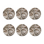 Ammonoidea Fossil Print Coaster Set