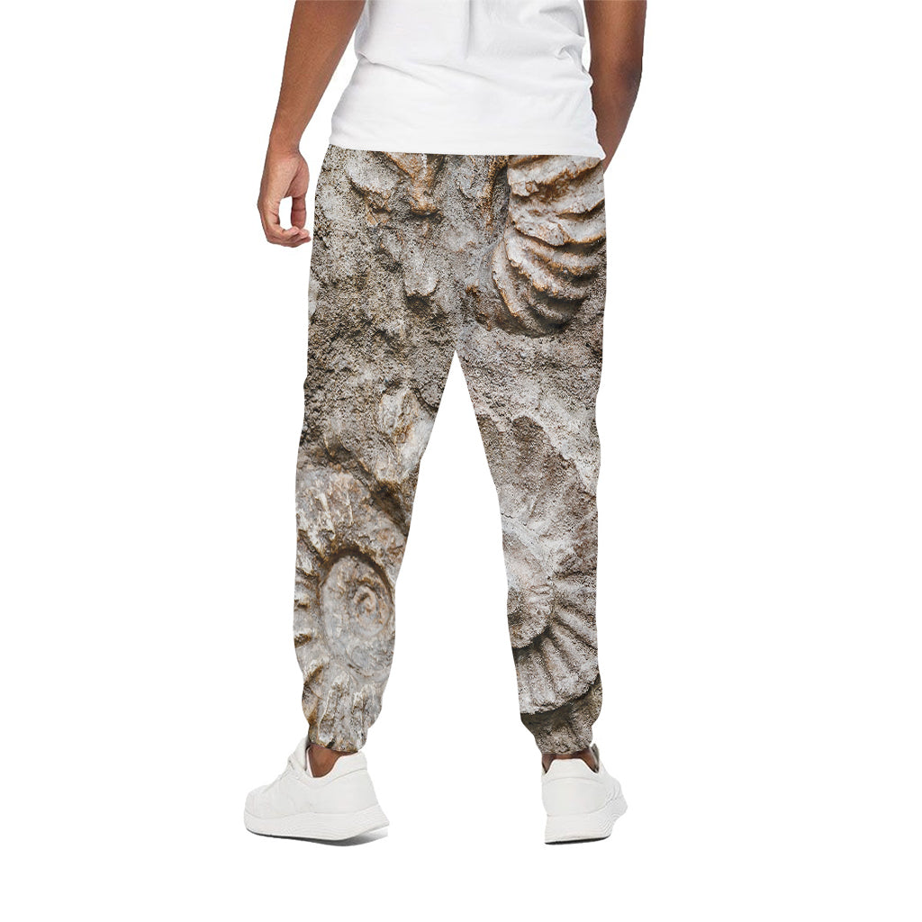 Ammonoidea Fossil Print Cotton Pants
