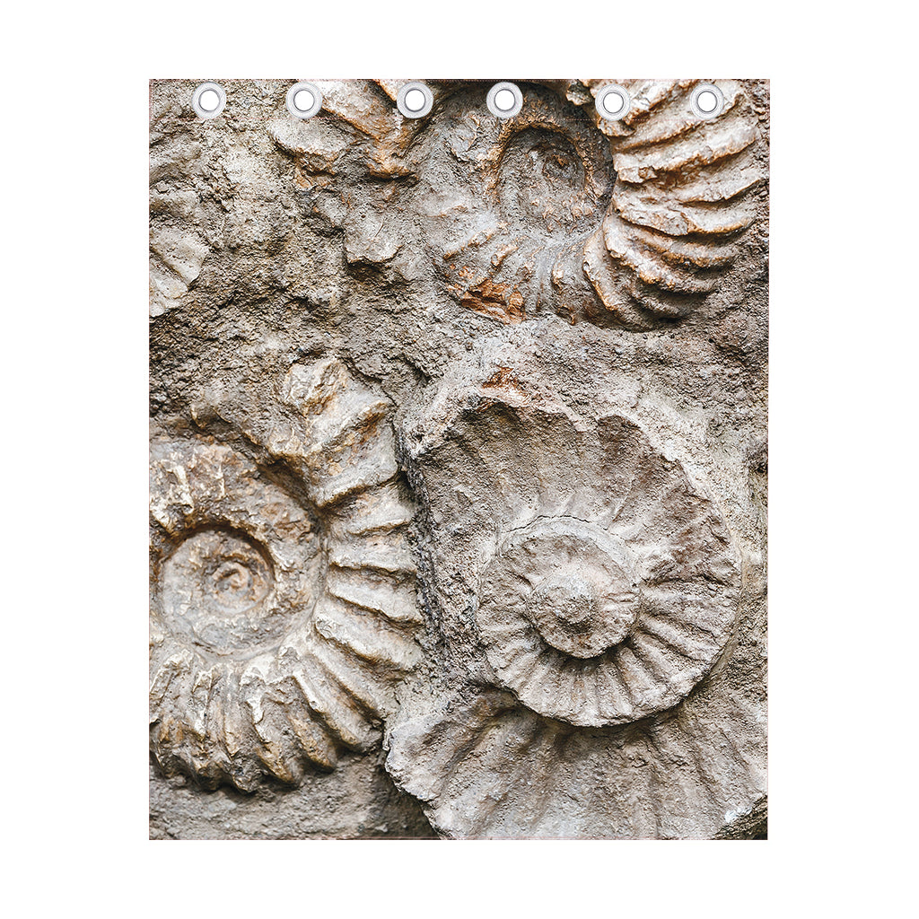 Ammonoidea Fossil Print Curtain