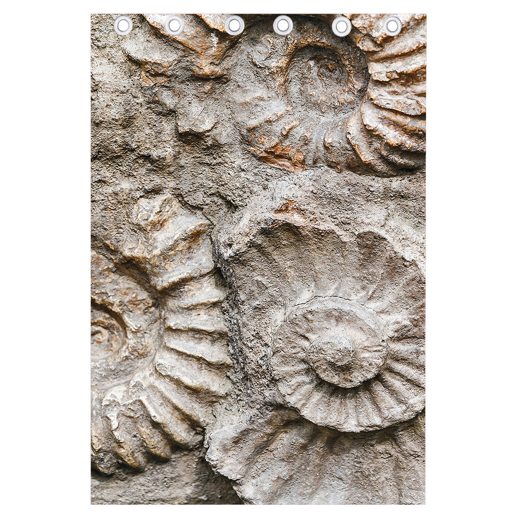 Ammonoidea Fossil Print Curtain