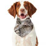 Ammonoidea Fossil Print Dog Bandana