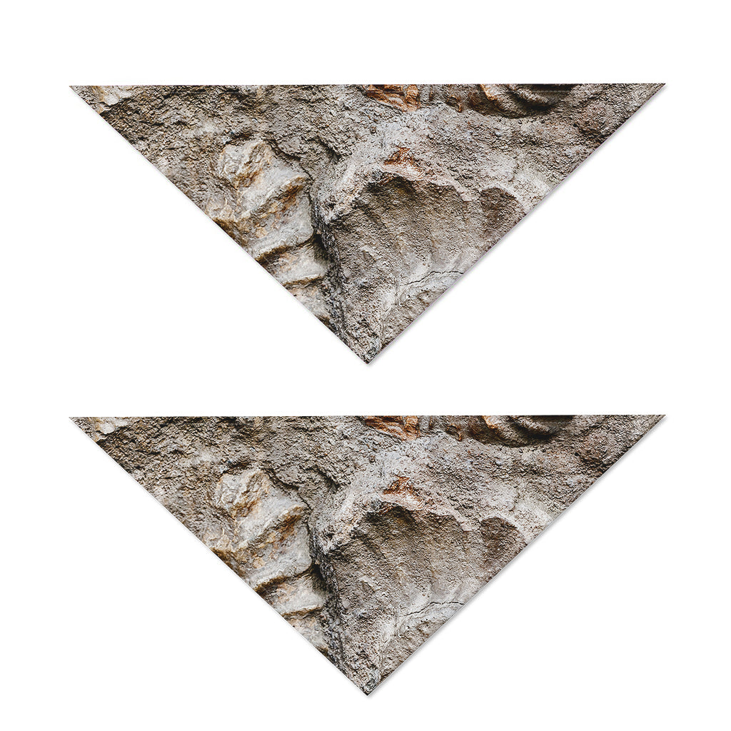 Ammonoidea Fossil Print Dog Bandana