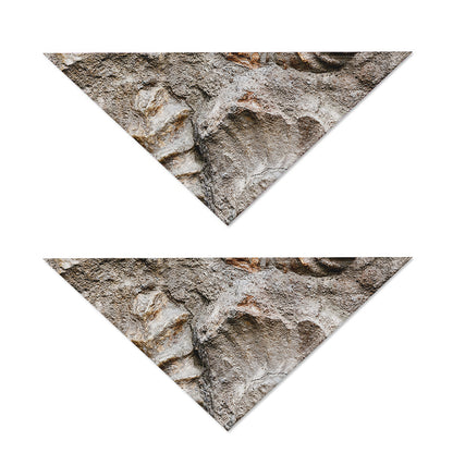 Ammonoidea Fossil Print Dog Bandana