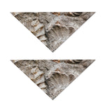 Ammonoidea Fossil Print Dog Bandana