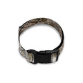 Ammonoidea Fossil Print Dog Collar