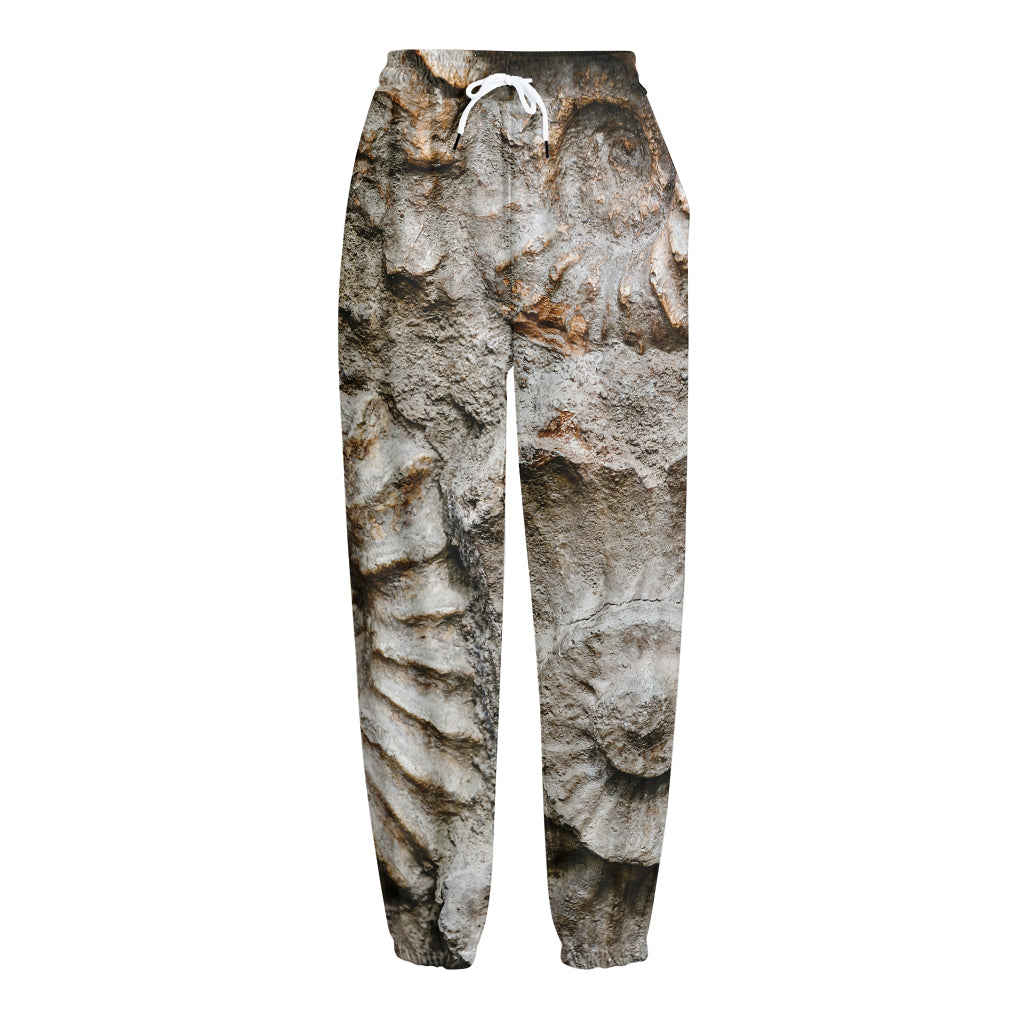 Ammonoidea Fossil Print Fleece Lined Knit Pants