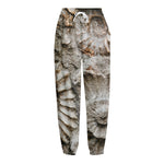 Ammonoidea Fossil Print Fleece Lined Knit Pants