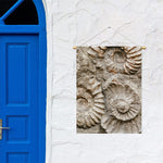 Ammonoidea Fossil Print Garden Flag