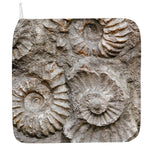 Ammonoidea Fossil Print Hand Towel