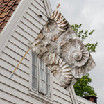 Ammonoidea Fossil Print House Flag