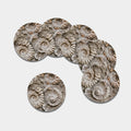 Ammonoidea Fossil Print Leather Coaster Set