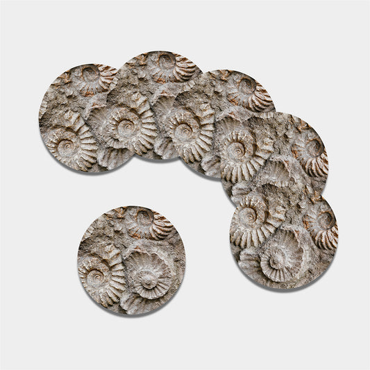 Ammonoidea Fossil Print Leather Coaster Set