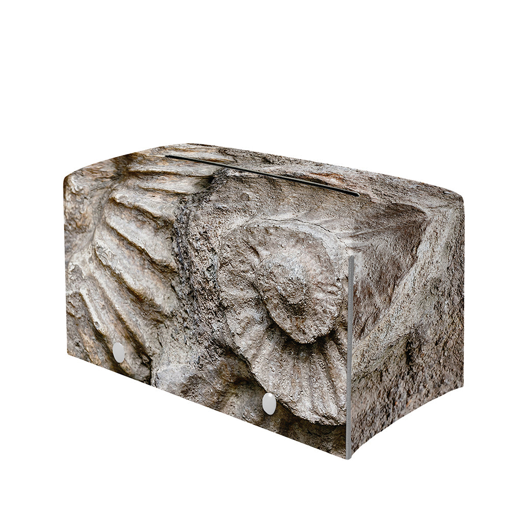 Ammonoidea Fossil Print Leather Tissue Box Cover