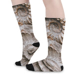 Ammonoidea Fossil Print Long Socks