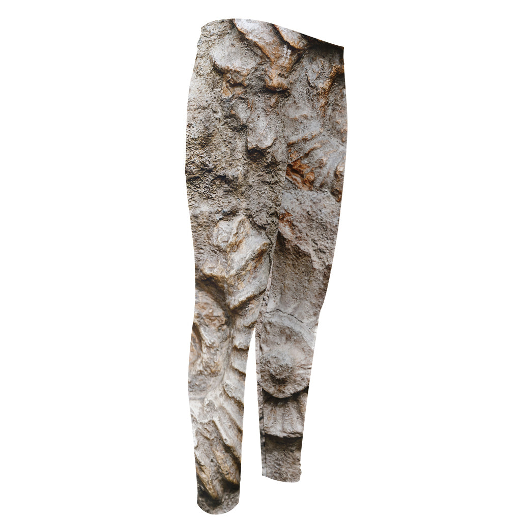 Ammonoidea Fossil Print Men's Compression Pants