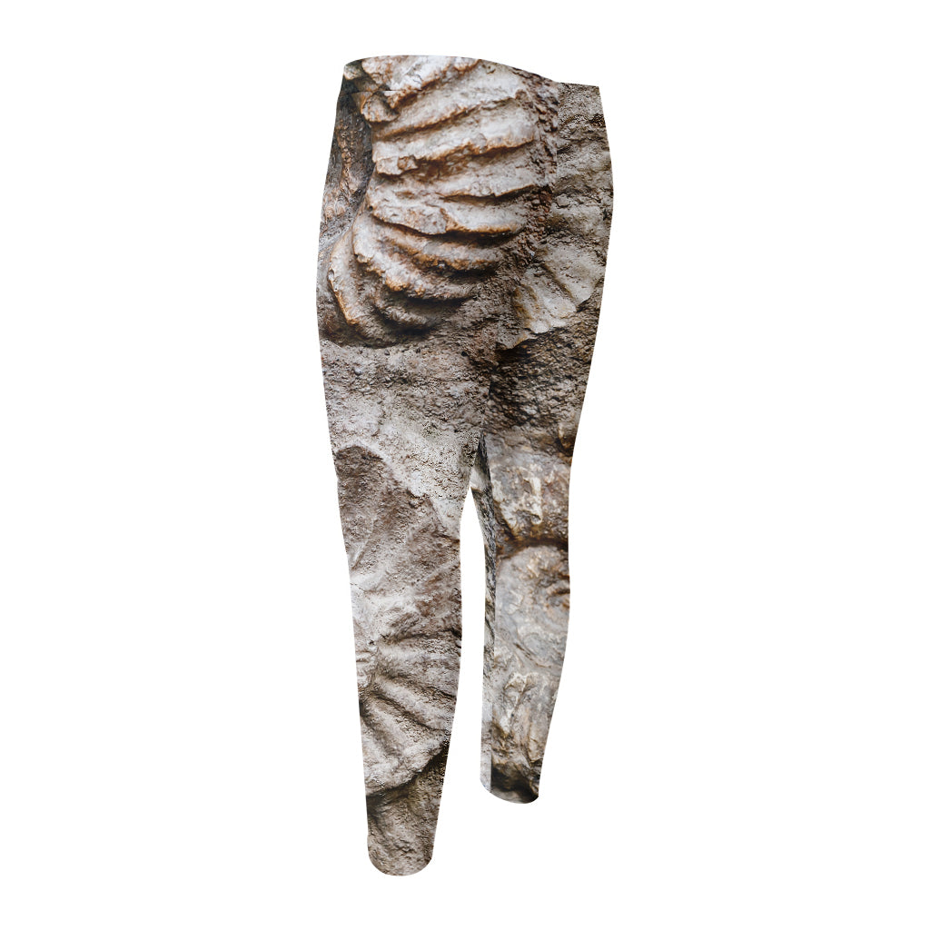 Ammonoidea Fossil Print Men's Compression Pants