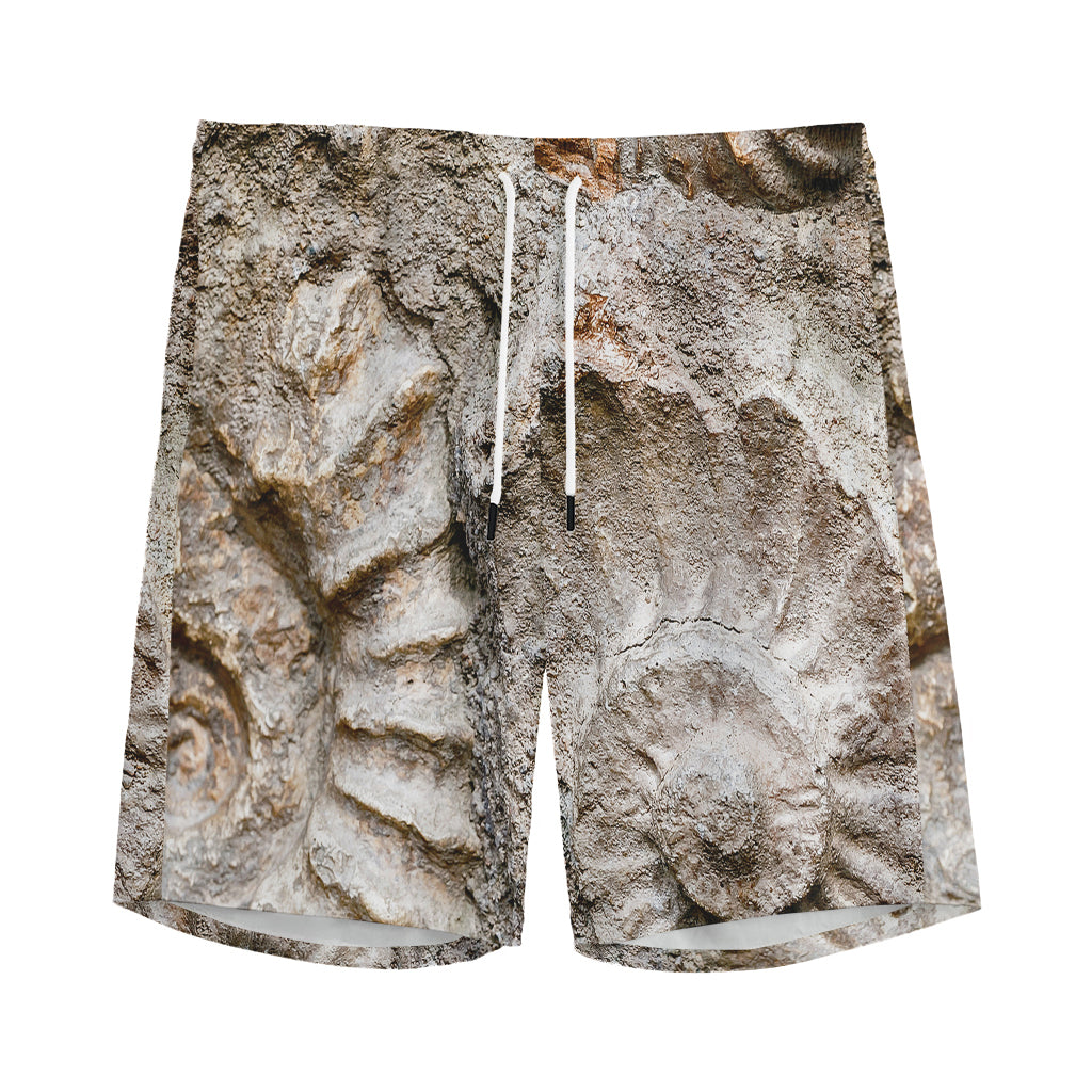 Ammonoidea Fossil Print Men's Sports Shorts