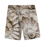 Ammonoidea Fossil Print Men's Sports Shorts