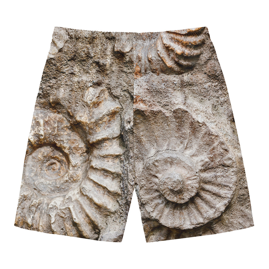 Ammonoidea Fossil Print Men's Swim Trunks