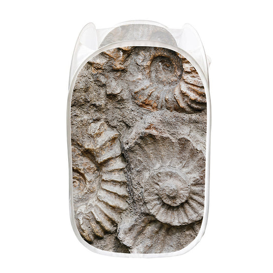 Ammonoidea Fossil Print Mesh Laundry Hamper