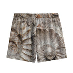 Ammonoidea Fossil Print Mesh Shorts
