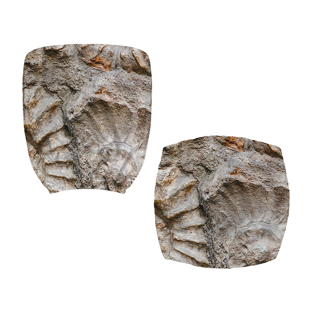 Ammonoidea Fossil Print Office Chair Cover