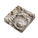 Ammonoidea Fossil Print Outdoor Seat Cushion Cover
