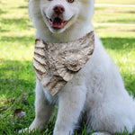 Ammonoidea Fossil Print Over The Collar Dog Bandana