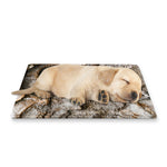Ammonoidea Fossil Print Pet Cooling Mat Cover