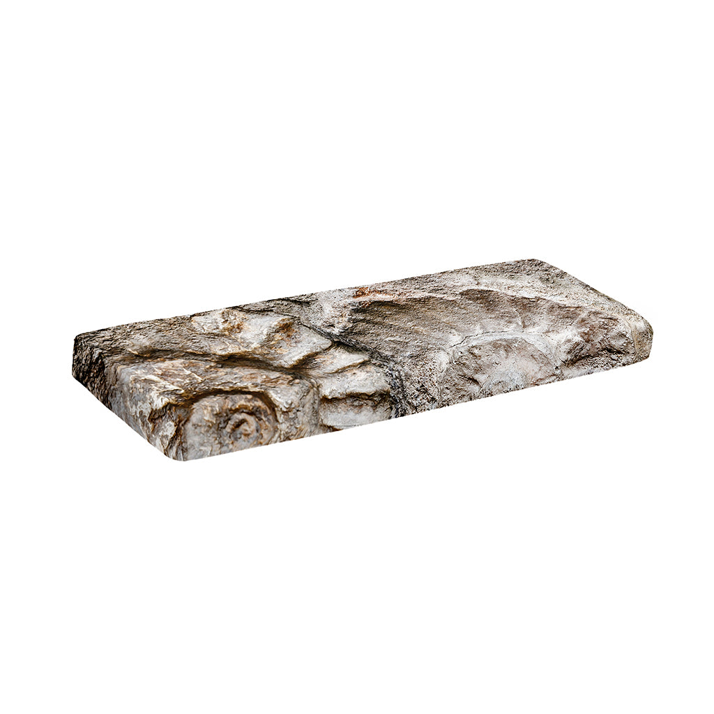 Ammonoidea Fossil Print Piano Keyboard Cover