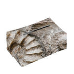 Ammonoidea Fossil Print Rectangle Tissue Box Cover