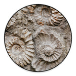 Ammonoidea Fossil Print Round Floor Mat