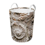 Ammonoidea Fossil Print Round Laundry Basket
