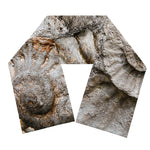 Ammonoidea Fossil Print Scarf