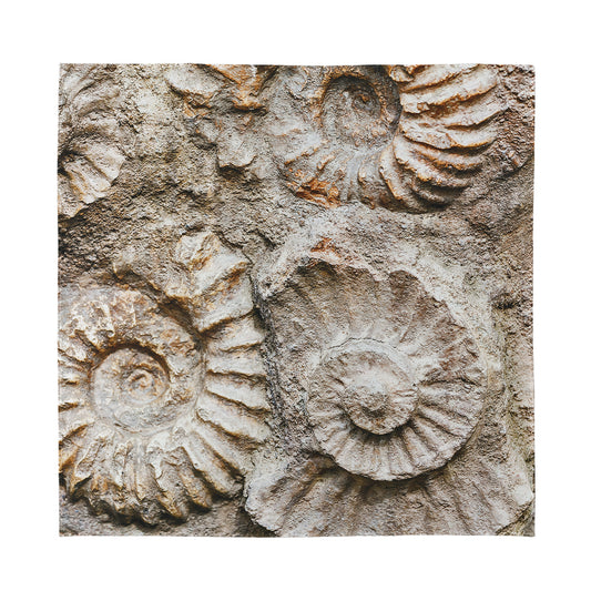 Ammonoidea Fossil Print Silk Bandana