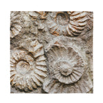 Ammonoidea Fossil Print Silk Bandana