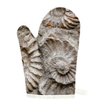 Ammonoidea Fossil Print Single Oven Mitt