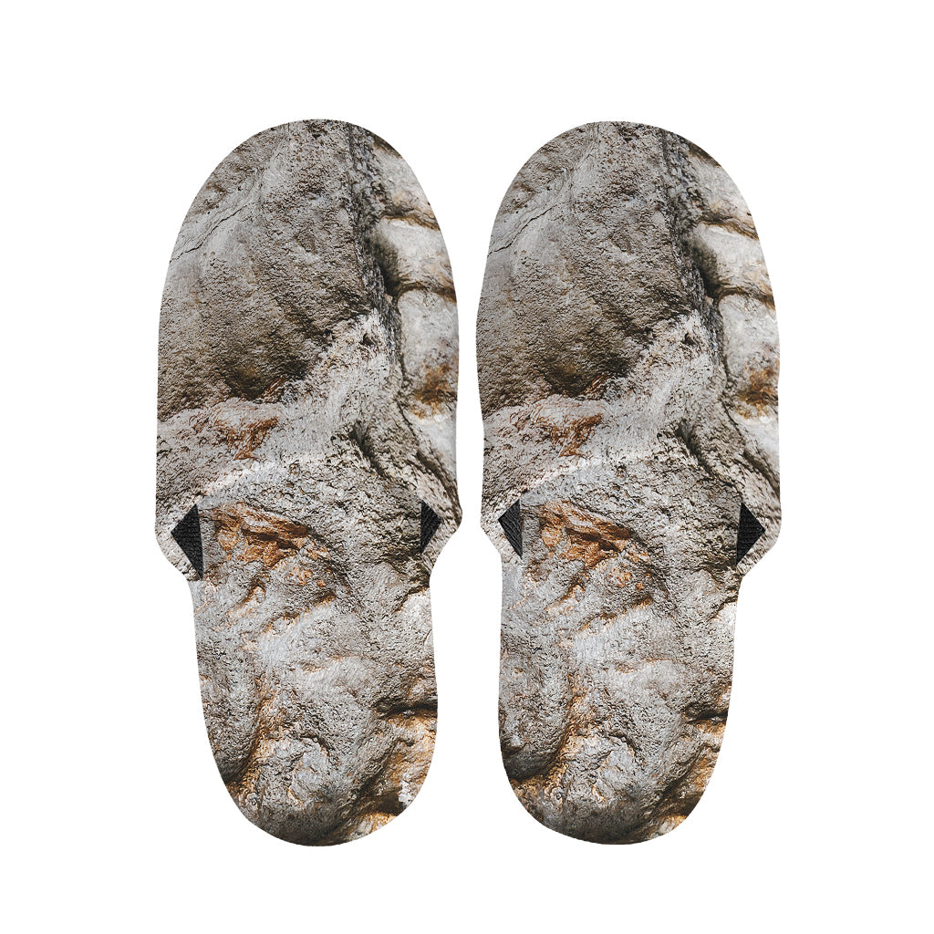 Ammonoidea Fossil Print Slippers