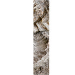 Ammonoidea Fossil Print Table Runner