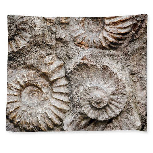 Ammonoidea Fossil Print Tapestry