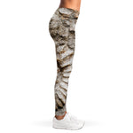 Ammonoidea Fossil Print Women's Leggings