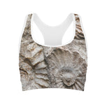 Ammonoidea Fossil Print Women's Sports Bra
