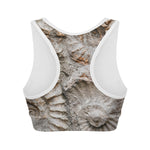Ammonoidea Fossil Print Women's Sports Bra