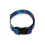 Ancient Indian Warli Tribal Print Dog Collar