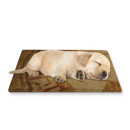 Ancient Spartan Helmet Print Pet Cooling Mat Cover