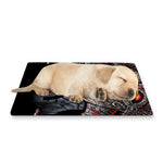 Ancient Viking Norse God Odin Print Pet Cooling Mat Cover