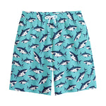 Angry Shark Pattern Print Cotton Shorts