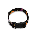 Animal Wizard Pattern Print Dog Collar