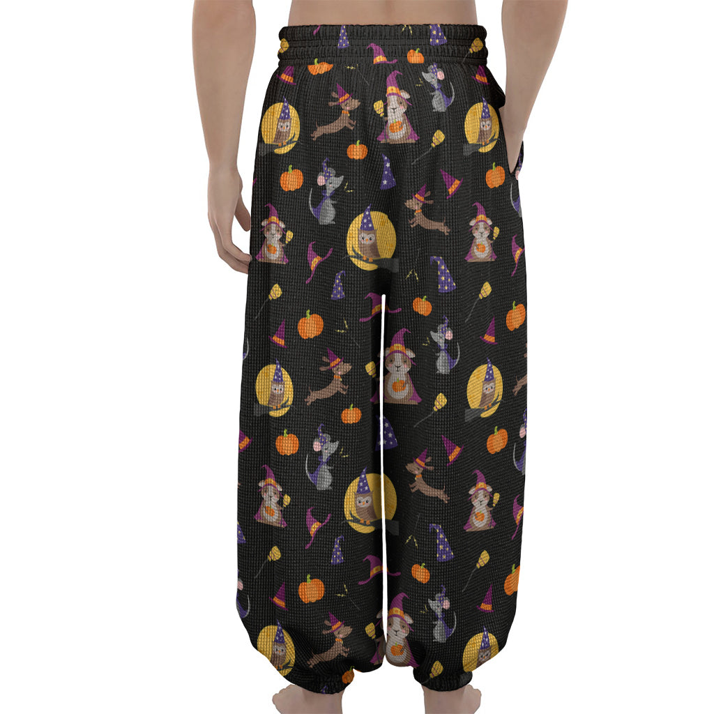 Animal Wizard Pattern Print Lantern Pants