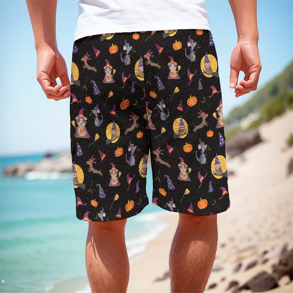 Animal Wizard Pattern Print Men's Cargo Shorts